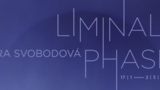 Výstava Ira Svobodová – Liminal Phase v Trafo Gallery